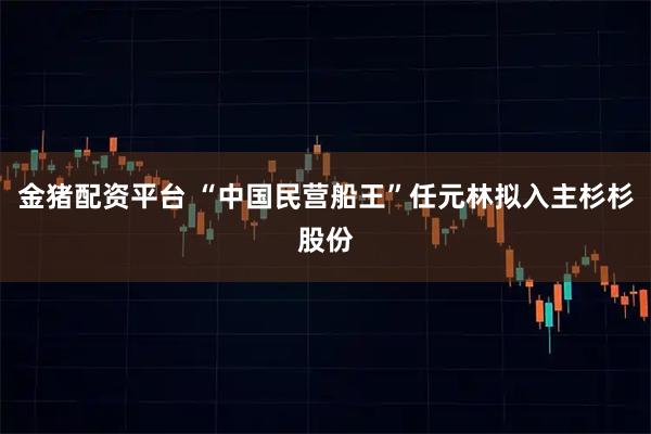 金猪配资平台 “中国民营船王”任元林拟入主杉杉股份