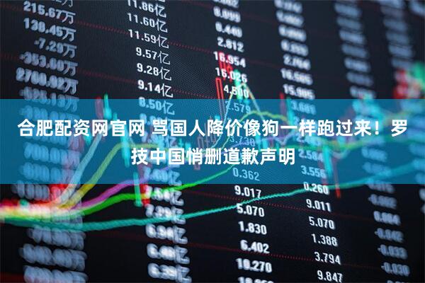 合肥配资网官网 骂国人降价像狗一样跑过来！罗技中国悄删道歉声明