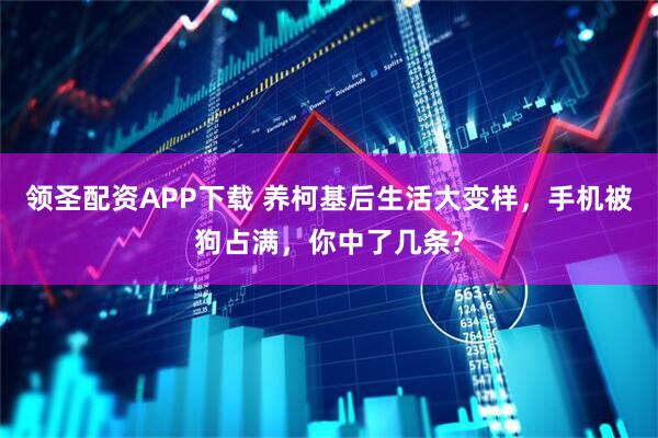 领圣配资APP下载 养柯基后生活大变样，手机被狗占满，你中了几条?